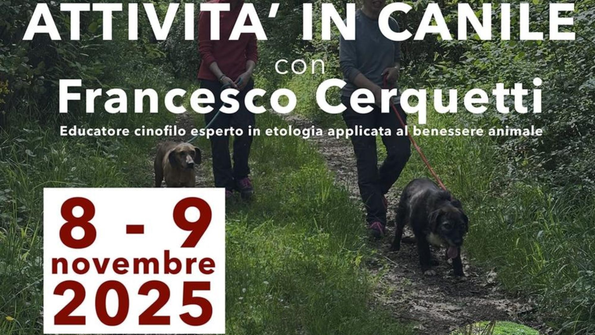 Attività in canile con Francesco Cerquetti
