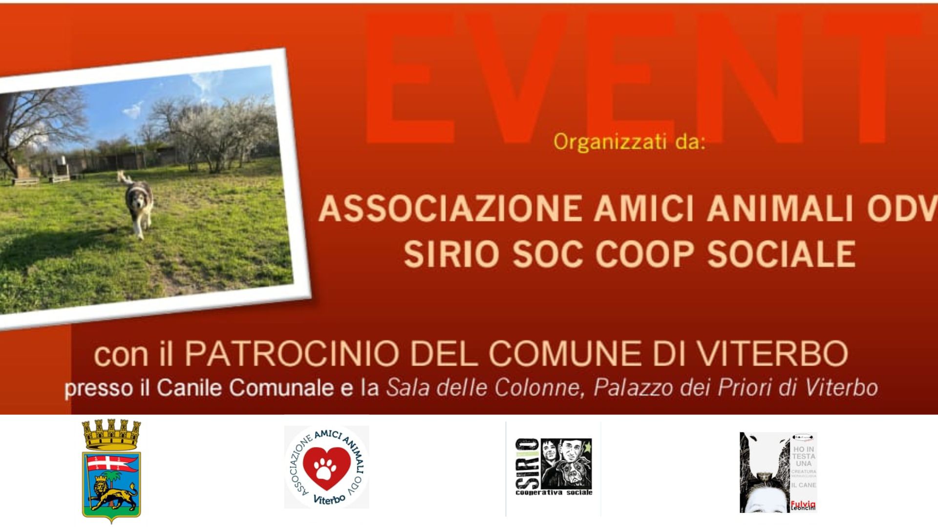 Eventi organizzati dall’Associazione Amici Animali ODV e Sirio Società Cooperativa Sociale